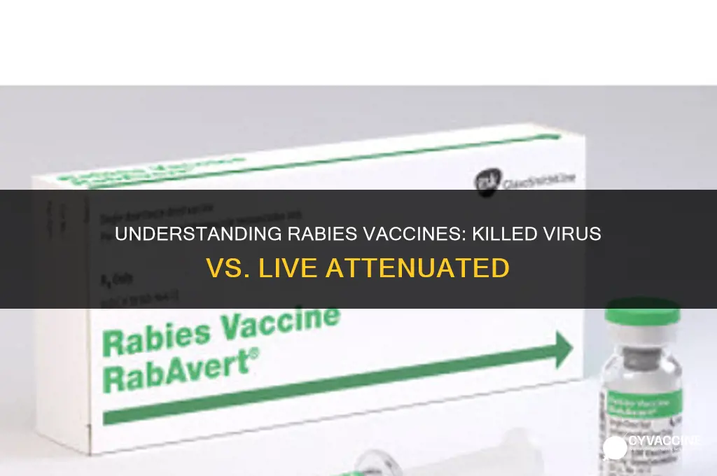 is rabies vaccine a killed virus