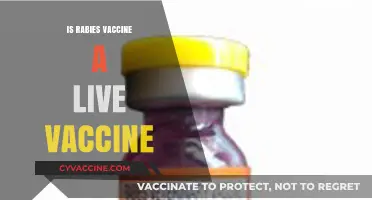 Is the Rabies Vaccine Live? Understanding Its Composition and Safety