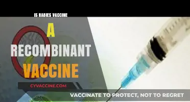 Unraveling the Science: Is the Rabies Vaccine a Recombinant Vaccine?