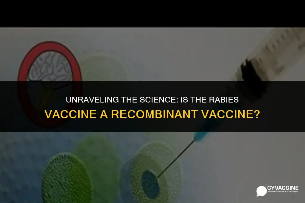 is rabies vaccine a recombinant vaccine
