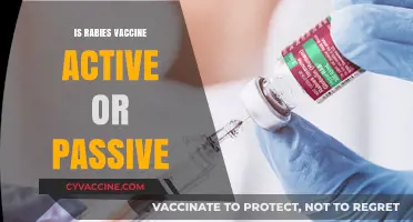 Understanding Rabies Vaccination: Active vs. Passive Immunity Explained