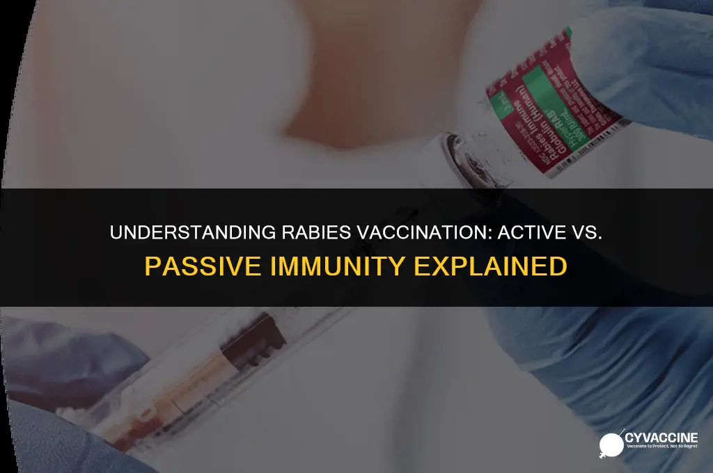is rabies vaccine active or passive