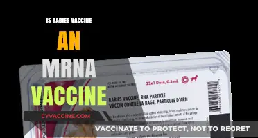 Unraveling the Science: Rabies Vaccine and mRNA Technology