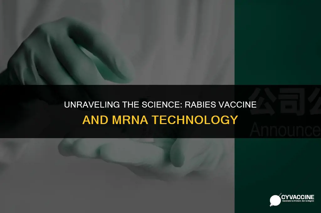 is rabies vaccine an mrna vaccine