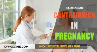 Rabies Vaccine Safety During Pregnancy: What You Need to Know