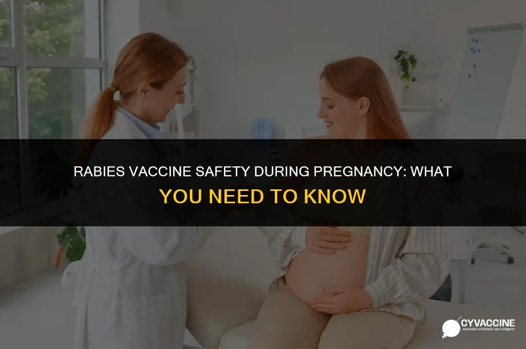 is rabies vaccine contraindicated in pregnancy