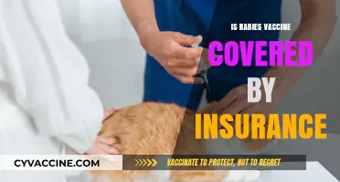 Is Rabies Vaccine Covered by Insurance? What You Need to Know