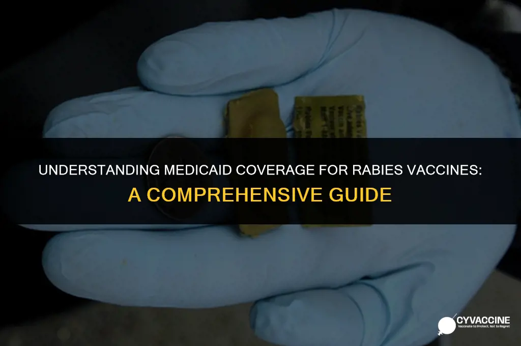 is rabies vaccine covered by medicaid