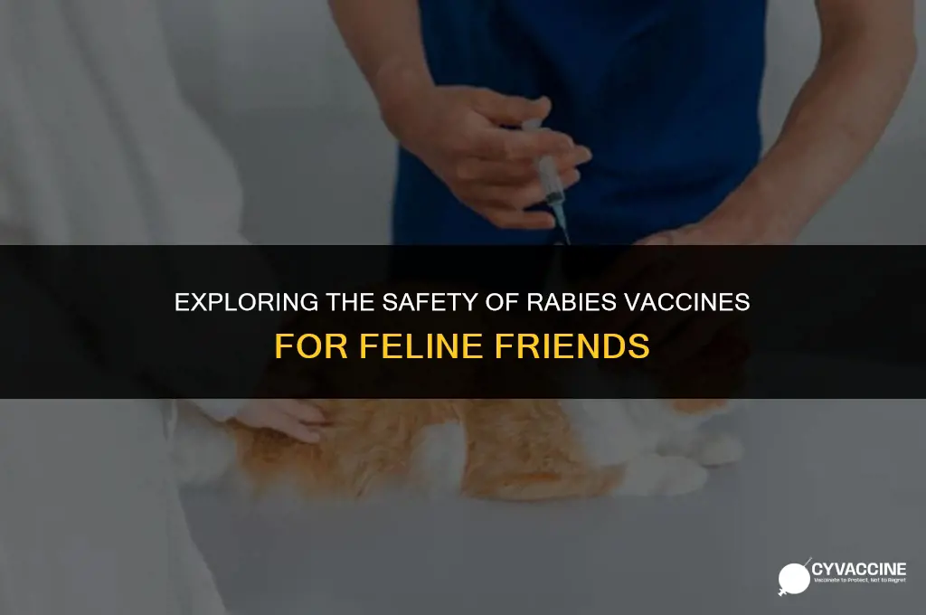 is rabies vaccine dangerous for cats