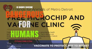 Unveiling the Truth: Is the Rabies Vaccine Safe for Humans?