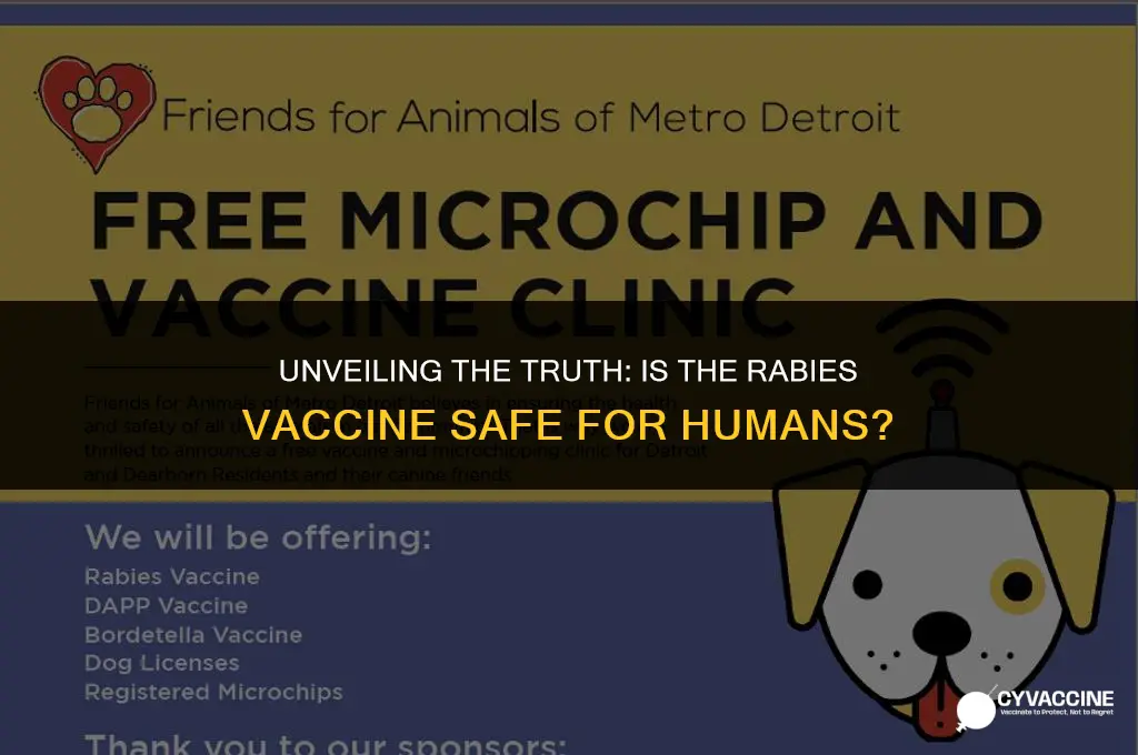 is rabies vaccine dangerous for humans
