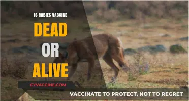 Unraveling the Mystery: Is the Rabies Vaccine Dead or Alive?