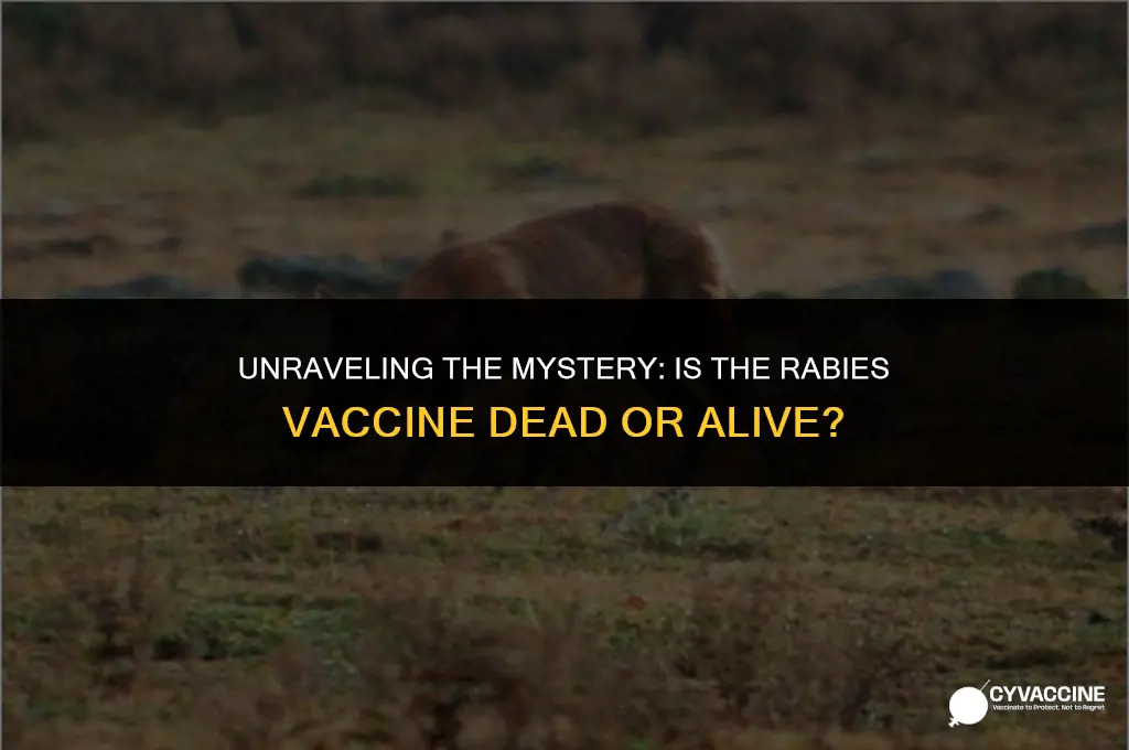 is rabies vaccine dead or alive