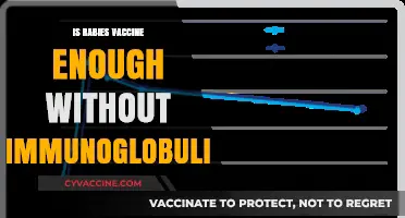 Rabies Vaccine Alone: Sufficient Protection or Added Immunoglobulin Needed?