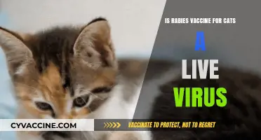 Is the Rabies Vaccine for Cats a Live Virus?