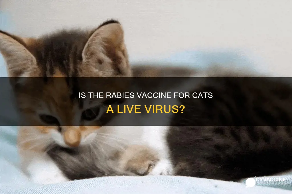 is rabies vaccine for cats a live virus