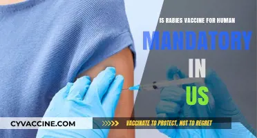 Is the Rabies Vaccine Mandatory for Humans in the US?