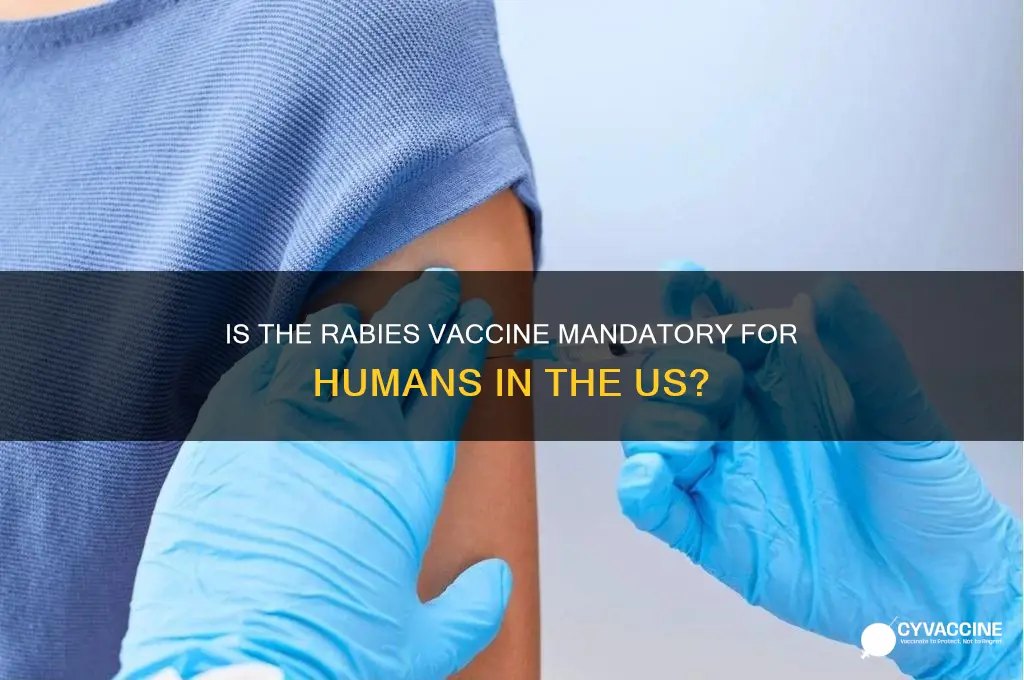 is rabies vaccine for human mandatory in us