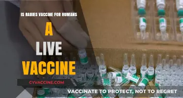 Is the Rabies Vaccine for Humans a Live Vaccine?