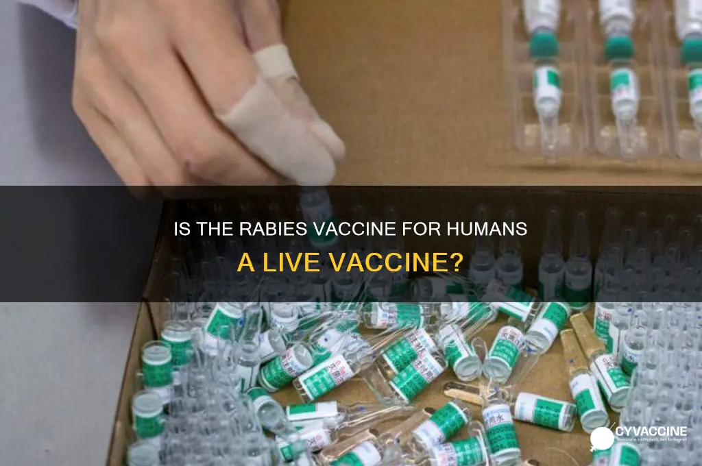 is rabies vaccine for humans a live vaccine