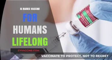 Rabies Vaccine for Humans: Lifelong Immunity or Periodic Boosters?