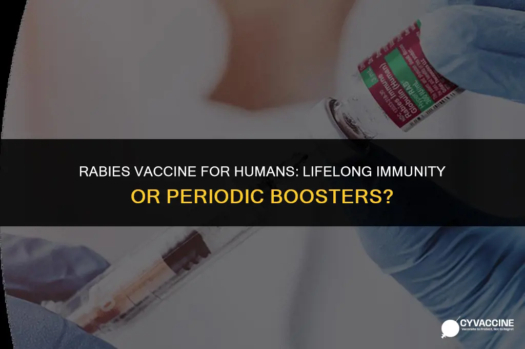 is rabies vaccine for humans lifelong