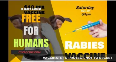 Exploring the Cost of Rabies Vaccination for Humans