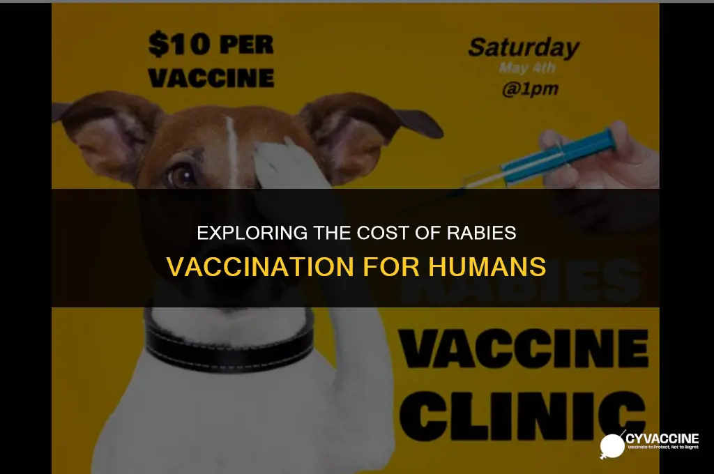 is rabies vaccine free for humans
