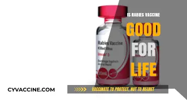 Lifelong Immunity: The Truth About Rabies Vaccines