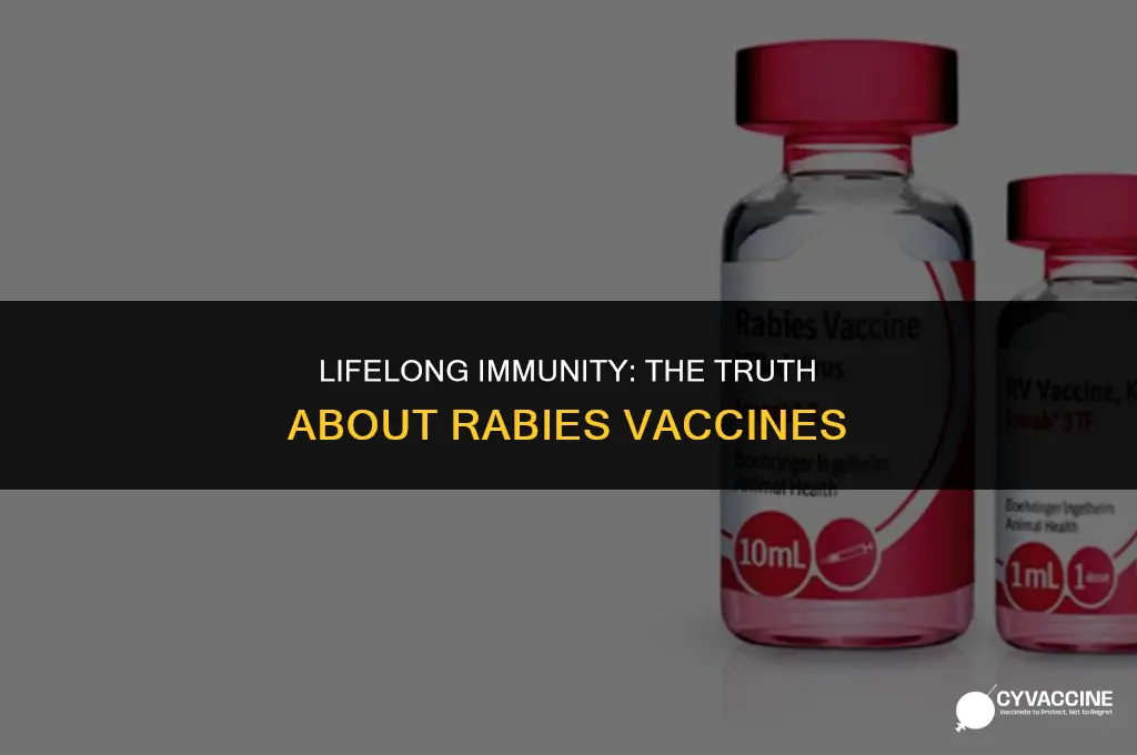 is rabies vaccine good for life