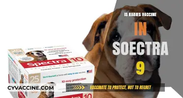 Unveiling the Truth: Rabies Vaccine in Spectra 9 - What You Need to Know