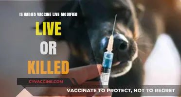 Understanding Rabies Vaccines: Live, Modified Live, or Killed?