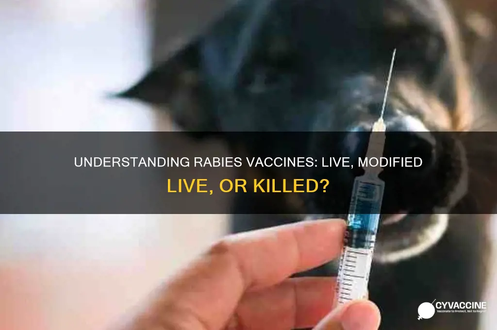 is rabies vaccine live modified live or killed