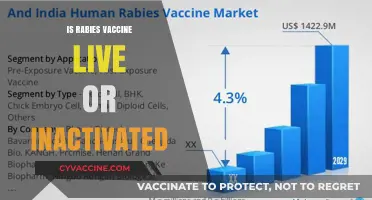 Understanding Rabies Vaccines: Live vs. Inactivated - What You Need to Know