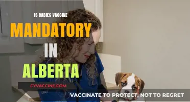 Rabies Vaccine Requirements in Alberta: What You Need to Know