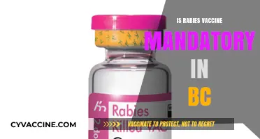 Rabies Vaccine Requirements in BC: What You Need to Know