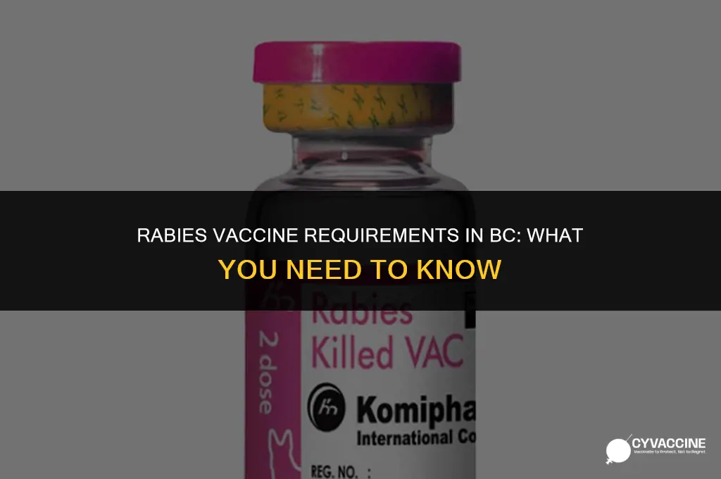 is rabies vaccine mandatory in bc