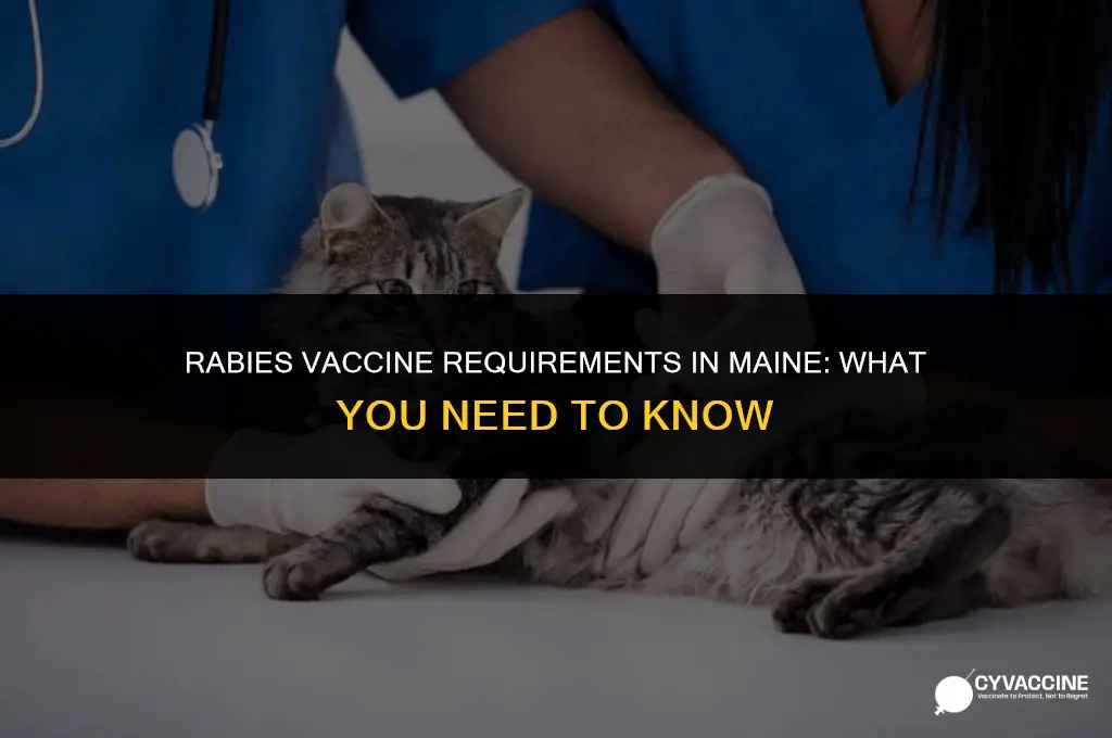 is rabies vaccine mandatory in maine