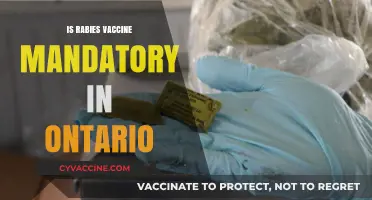 Rabies Vaccine Requirements in Ontario: What You Need to Know