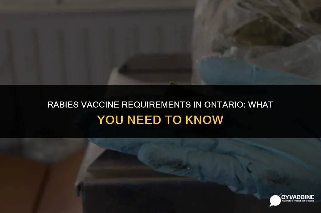 is rabies vaccine mandatory in ontario