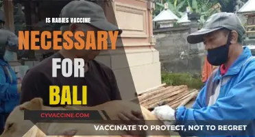 Exploring the Essential: Rabies Vaccine for Bali Travelers