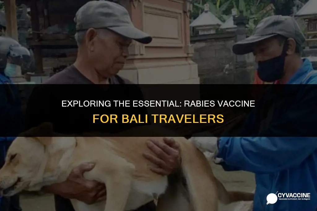 is rabies vaccine necessary for bali