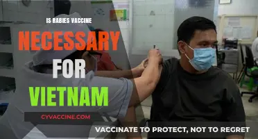 Rabies Vaccine in Vietnam: A Necessary Precaution for Travelers?