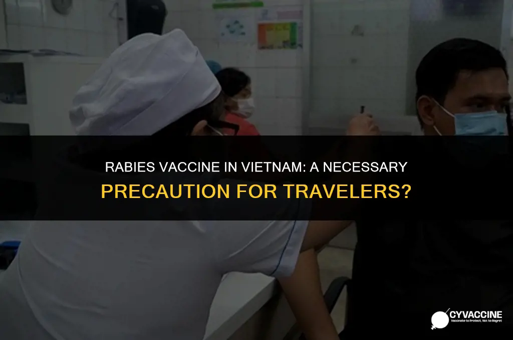 is rabies vaccine necessary for vietnam