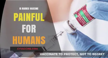 Unraveling the Truth: Is the Rabies Vaccine Painful for Humans?