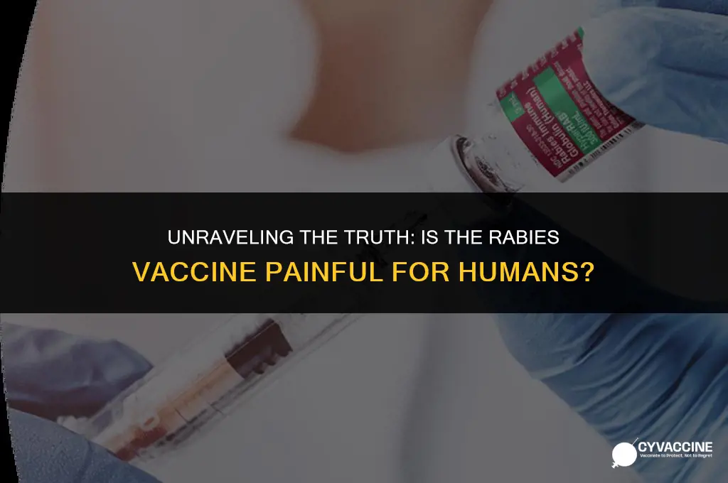 is rabies vaccine painful for humans