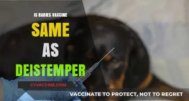 Rabies vs. Distemper Vaccines: Understanding the Key Differences