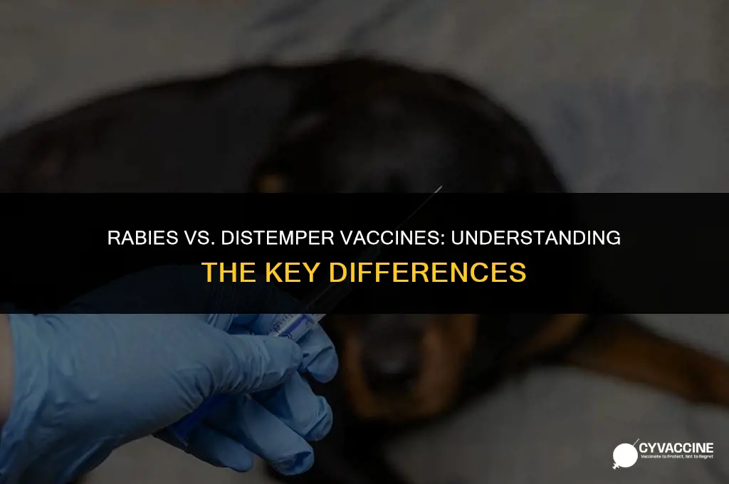 is rabies vaccine same as deistemper