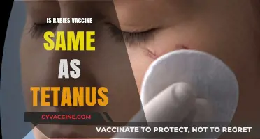 Rabies vs. Tetanus: Understanding the Differences in Vaccination
