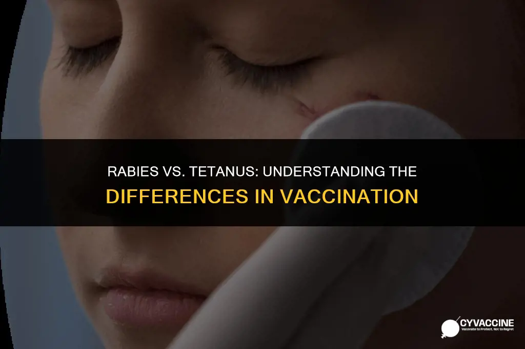 is rabies vaccine same as tetanus